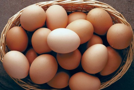 New Eggs at HB - Desi Kadaknath Eggs 