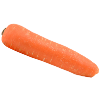 Carrot (could be dry due to heat)