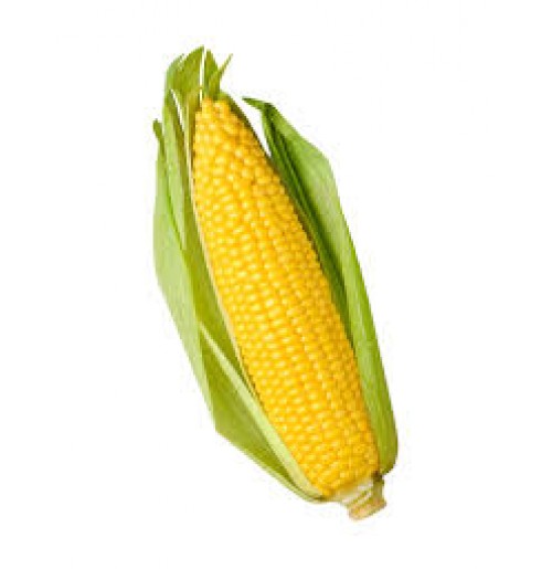 Corn Normal - unpeeled