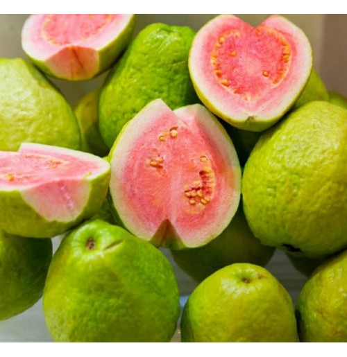 Arka Kiran Guava