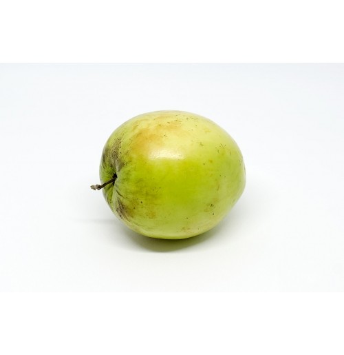 Apple Ber (Indian Jujube) from Pune