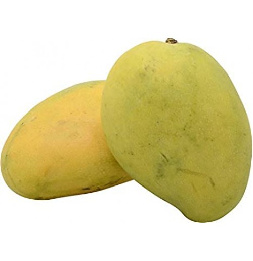 Mango - Chaunsa (Chausa) - Won't turn complete yellow