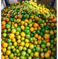 Coorg Orange (Smaller Sized, Sweet & Sour)