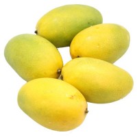 Mango - Dasheri (Will take 2-4 days to ripe)