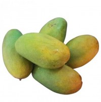 Mango - Dasheri from UP (Will turn half yellow, will ripen in 2-3 days)