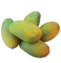 Mango - Dasheri from UP (Will turn half yellow, will ripen in 2-3 days)