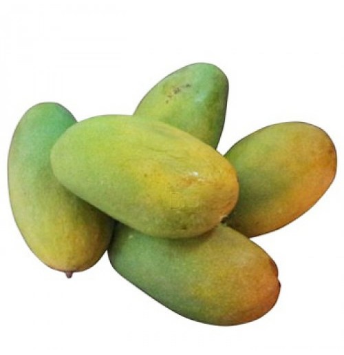 Mango - Dasheri from HP (Smaller Sized, Will turn half yellow, will ripen in 2-3 days)