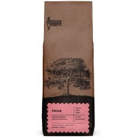 Filter Coffee - Ficus (250gms, Washed Arabica + Robusta Naturals)