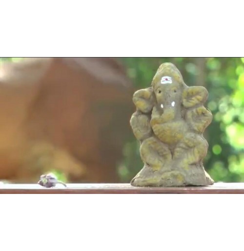Small Eco Friendly Ganesha with Tulasi Seeds