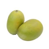 Mango - Langra (Won't turn yellow, from UP)