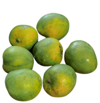Mango - Malgova (ripen in 2-3 days)
