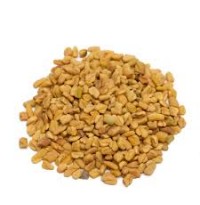 Methi / Fenugreek