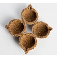 Panchagavya Diya (11Pcs) - without Ghee