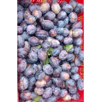 Prune Plums (From Himachal, 250gm Box)