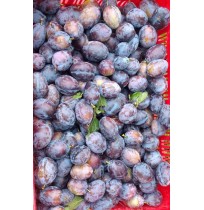 Prune Plums (From Himachal, 250gm Box)