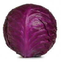 RED Cabbage 