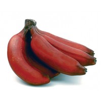 Banana - RED
