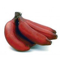 Banana - RED