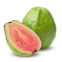 RED Guava 