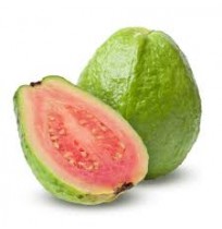 RED Guava 