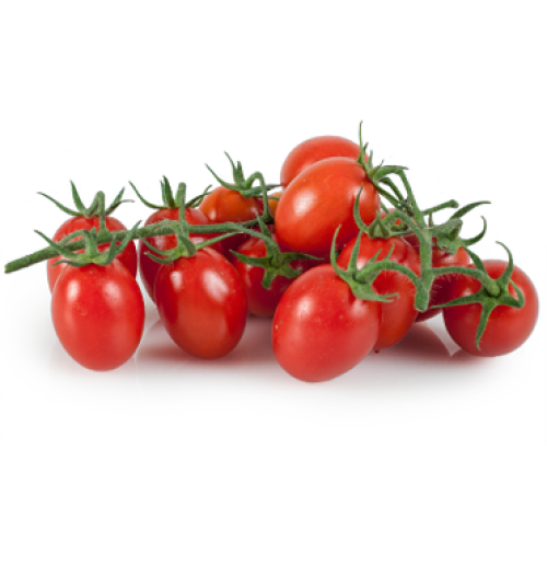 Cherry Tomato (OVAL)