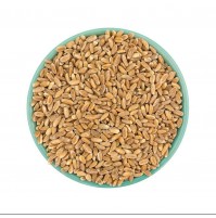 Emmer Wheat Grain - 500Gms