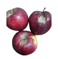 UGLY Organic Misfit Apples 