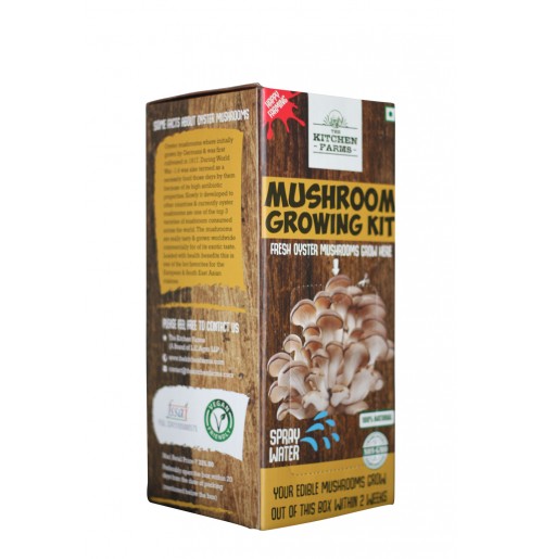 Oyster Mushrooms - Grow from the box within 2 weeks (plus Recipes)