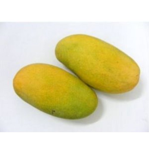 Mango - Amrapali