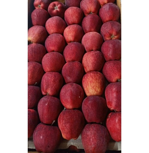 Apples - from Kinnaur (Med/ Small Sized)