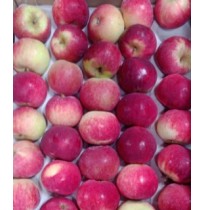 Apples - Tideman Variety (Med/ Small)