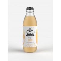 Kombucha - Singer Ginger (220 ML)