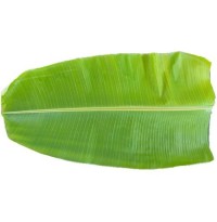 Banana Leaf (Pack of 4)