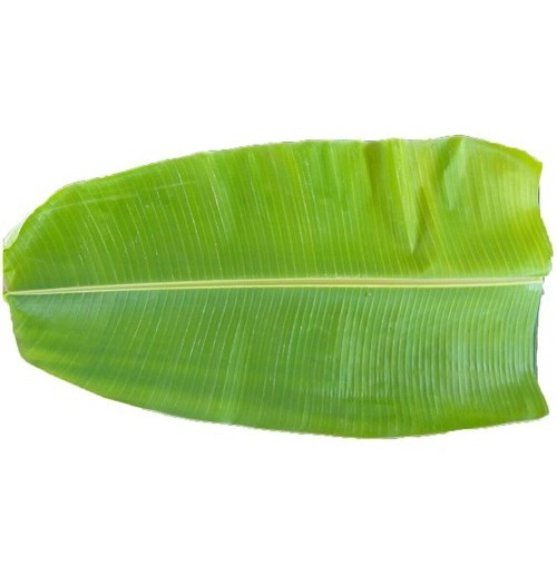 Banana Leaf (Pack of 4)