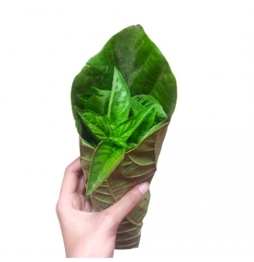 Basil Fresh (50gms, packed in leaf)