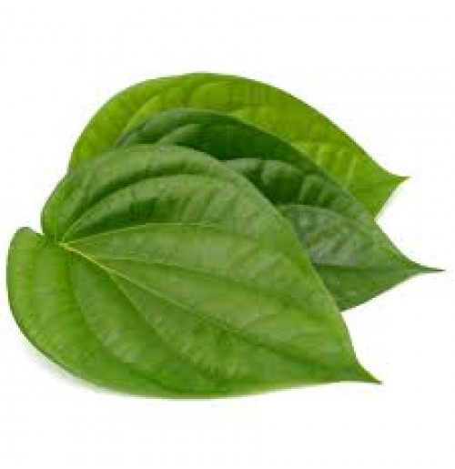 Betel Leaf (Pack  of 30)