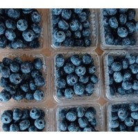 Blueberry (110gm per box)