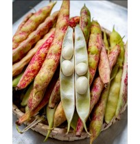 Butter Beans (Lima Beans) - SHELLED (250gms, Packed in Ziplock)