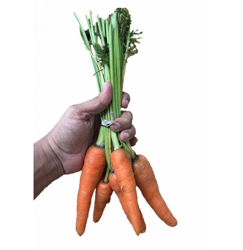 Carrot Bunch (From Mahabaleshwar, apprx 450gm)