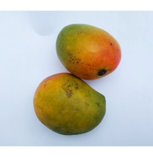 Mango - Raspuri (2-3 days to ripe)