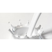 A2 Cow Milk (Frozen/ Semi Frozen) - Vanam