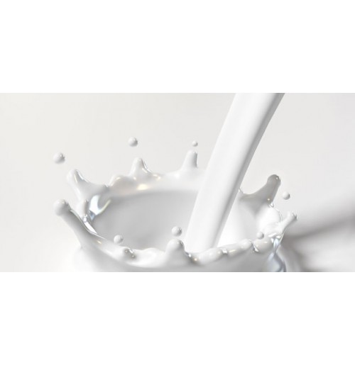 SAMPLE - Desi Organic Milk  - SMALL PACKET