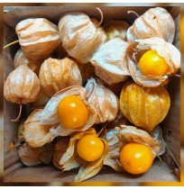 Golden Berry ( Rasbhari/Cape gooseberry/Inca berry , 250gms Box)