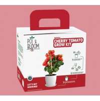 Grow Kit - Cherry Tomato