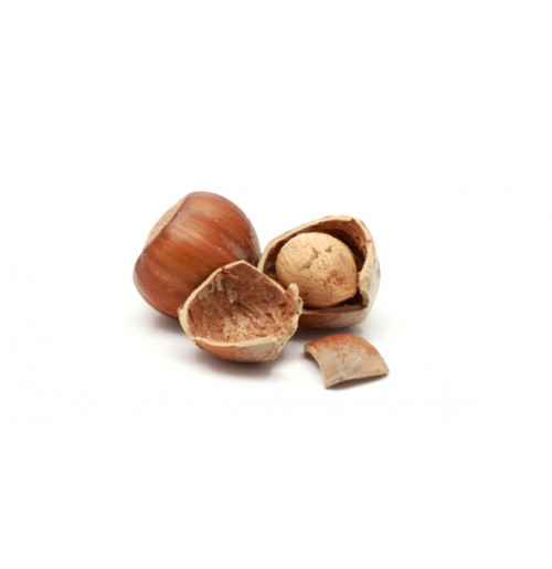 Hazelnut (with shell)