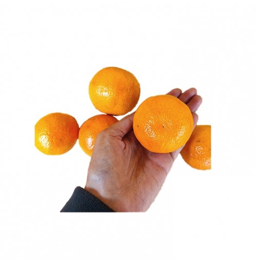 Mandarin Orange (Not-So-Mini)