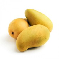 Mango - Kesar (from Surva Gir, Gujarat)
