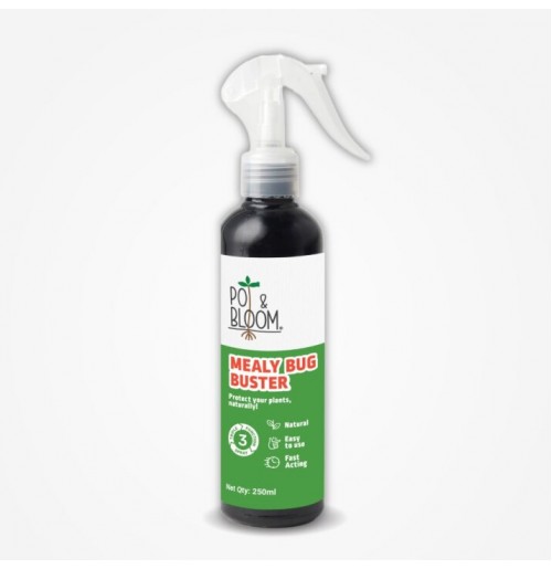 Mealy Bug Buster - Something that works (500 ML)