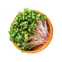 Micro Greens - Pink Raddish  (50gms, Harvested)