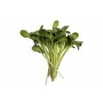 Micro Greens - Sunflower Shoots (50gms, Harvested)